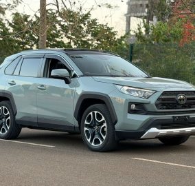 2019 TOYOTA RAV4 ADVENTURE