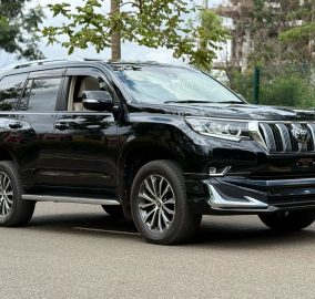 2019 Toyota Prado TX-L