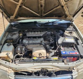 2001 Toyota Premio Nyoka